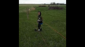 Discovering what an electric fence feels like