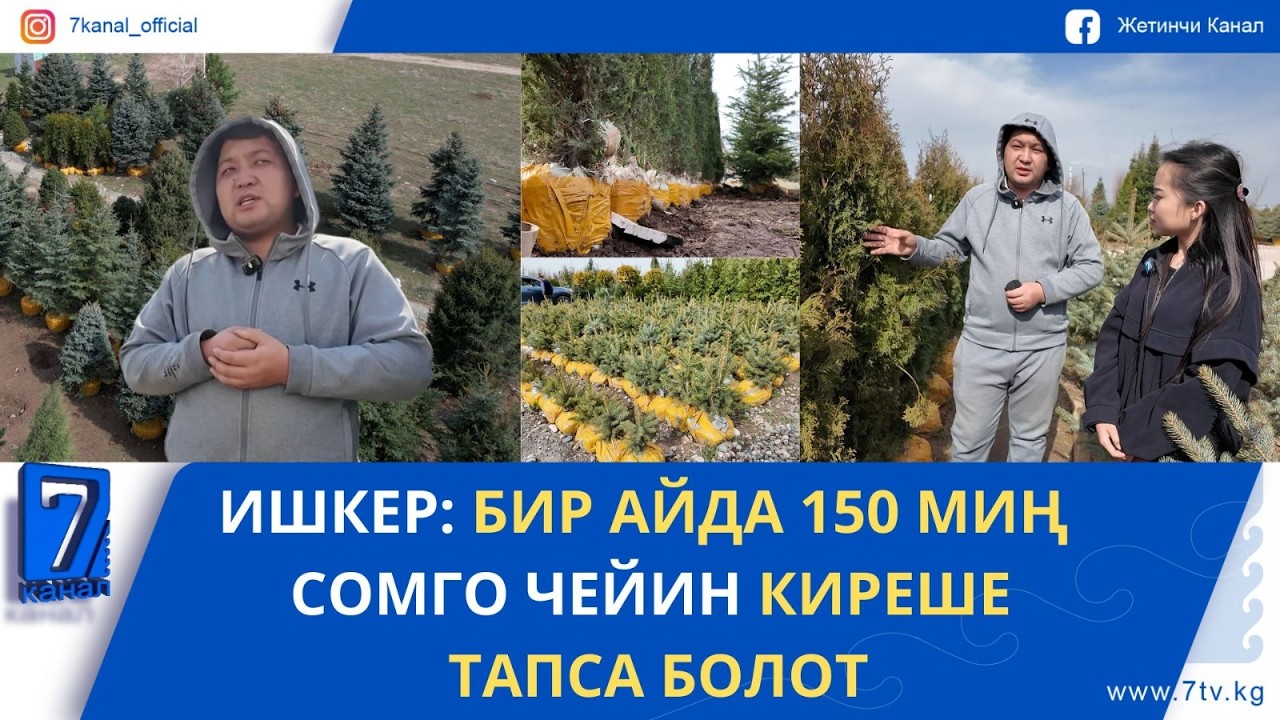 ИШКЕР: БИР АЙДА 150 МИҢ СОМГО ЧЕЙИН КИРЕШЕ ТАПСА БОЛОТ