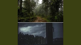 Elegant Ambience for Fun Storms