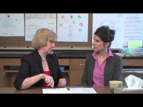 Post Teacher Observation - Example Two