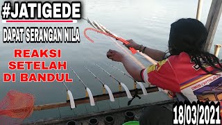 Mancing jatigede terbaru 2021 || jelajah lapak baru dan salah satu joran dapat serangan ikan nila