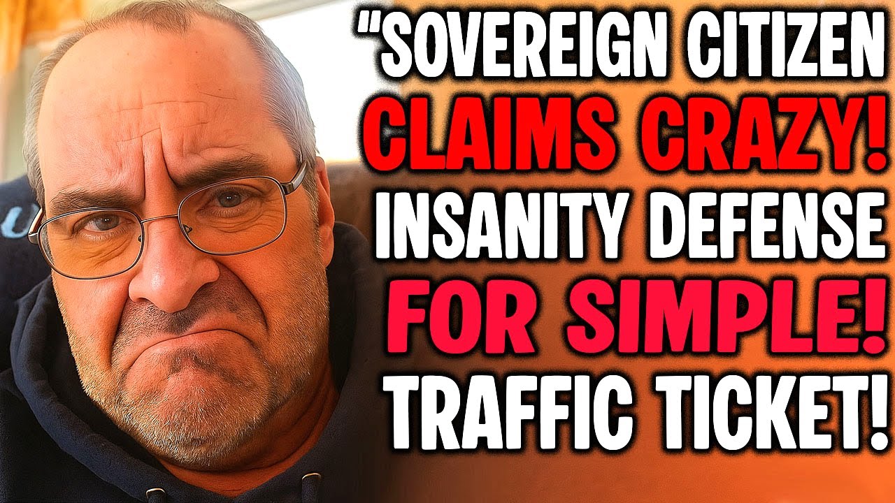 Sovereign Citizen DESTROYS His Own Plea Deal Using Fake Law!!! Courtroom MELTDOWN!!!