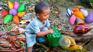 Seru..Menemukan Keong Bekicot Luwing Kaki Seribu Kepiting ikan hias Kelomang Bebek Ayam Warna Warni