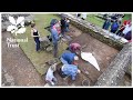 Exciting discoveries at Chedworth Roman Villa!