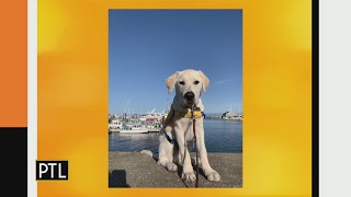 PTL Pupdate: Roberto goes on vacation