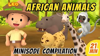 African Animals Minisode Compilation - Leo the Wildlife Ranger | Animation | For Kids