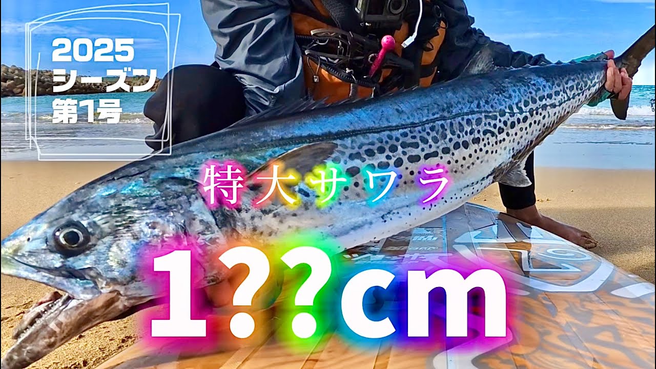 【大サワラ神回】巨大なサワラを上手に釣り上げるノウハウ満載のノーカット保存版です