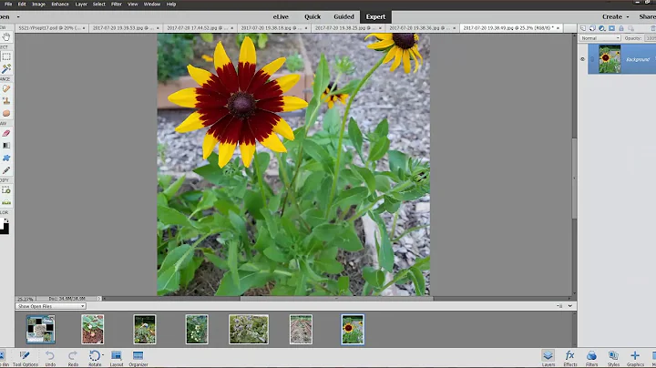 LBickford Elements basics first steps