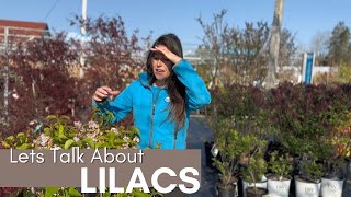 Famous Lets Talk About Lilacs! Net Worth