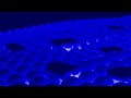 Stereo Interlacing Videoup V1 