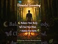 Element Grounding Why Walking Barefoot Change Your Blood Chemistry and Focus