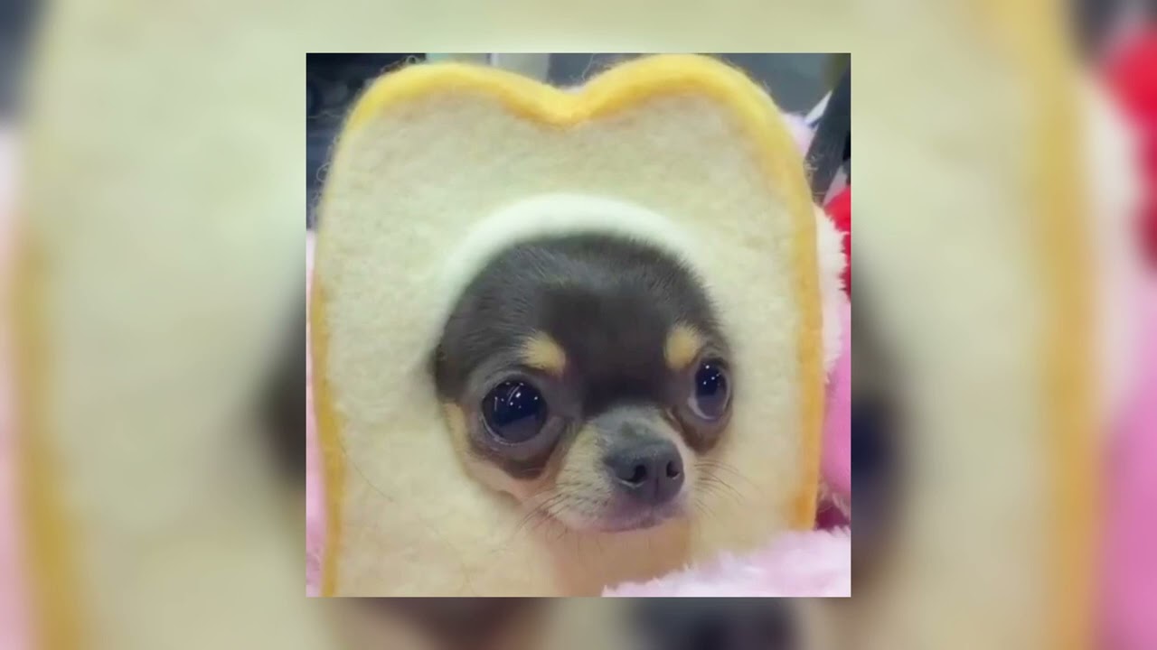 migos - narcos (sped up)