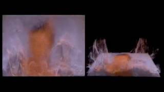 Details OpticalFlow meets FlipFluids - viscosity Update