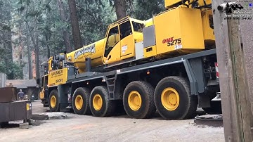 MLTS Tree Removal Yosemite Valley