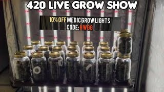 do you need helping growing ? 420 grow Show