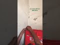 home services free #viralvideo #inverterbattery