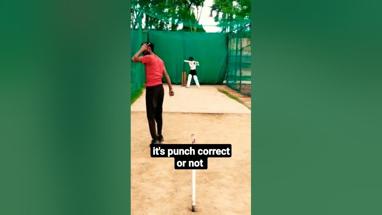 correct-or-not-cricketlover-cricketshorts-viral-shortsfeed