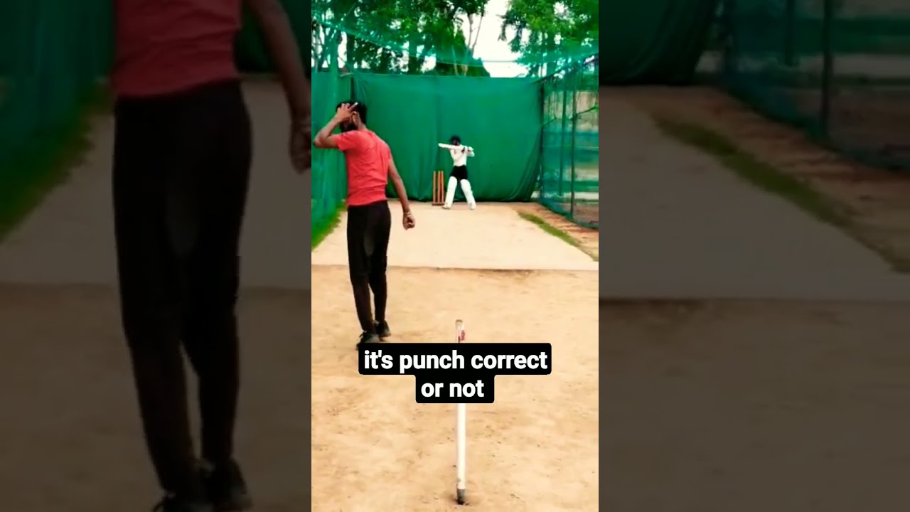 Correct Or Not cricketlover cricketshorts viral shortsfeed Correct Or Not cricketlover cricketshorts viral shortsfeed
