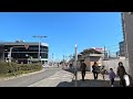 Suginami City Japan Tour