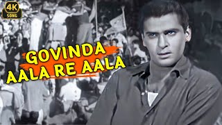 Govinda Aala Re Aala Bluff Master 1963 Mohammed Rafi Kalyanji-Anandji Manmohan Desai 4K