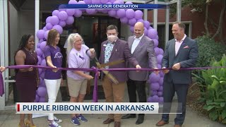 Arkansas Purple Ribbon Week looks to raise awareness of overdose dangers, recovery efforts Purple Ribbons For Awareness