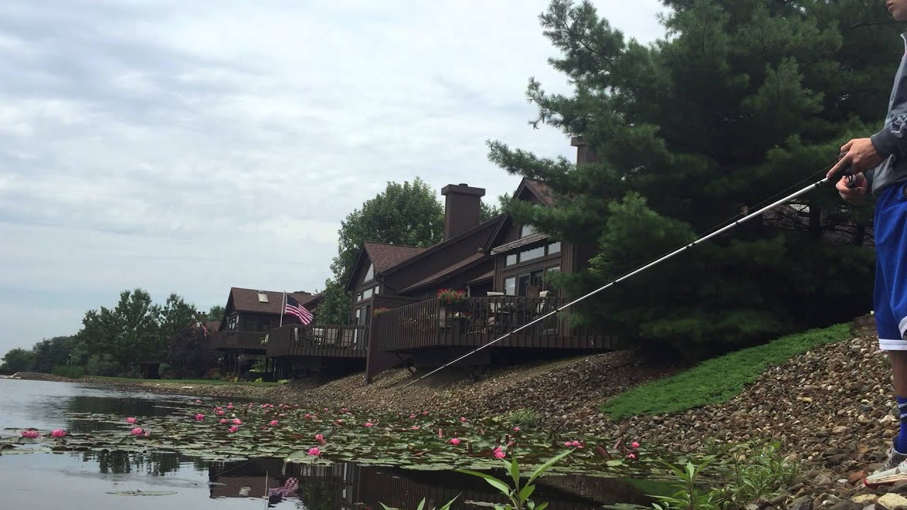 Bass fishing, local ponds in Medina,Ohio YouTube