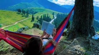 Solo girl camping, rain -cosy tent, pouring rain and relaxing,ASMR