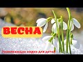 ВЕСНА! Рассказ про ВЕСНУ для детей. Русская весна. Развивающее видео для детей