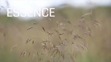 Anna B May - Essence | Chill Ambient