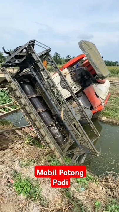 Mobil Potong Padi#shorts #short #viralvideos #trending #heruadi #mobiltrukanimasi #bus #truk #truck