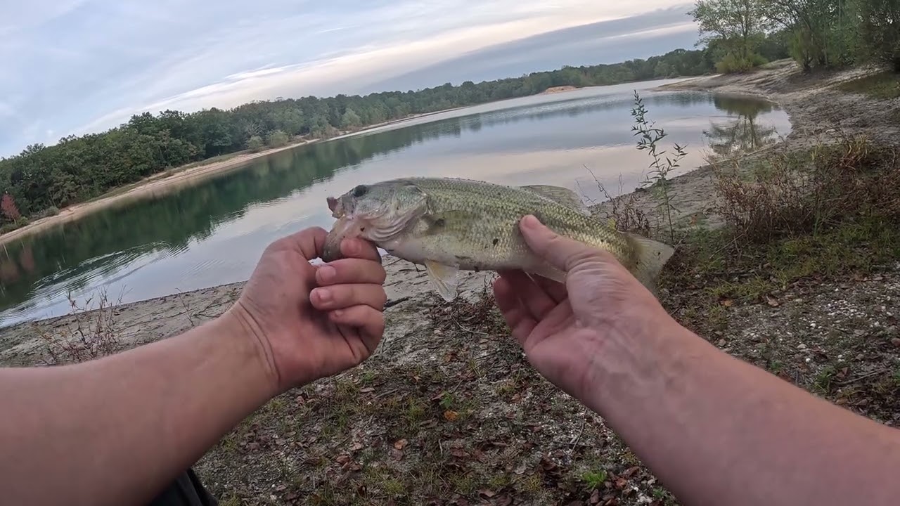 caught another little one (bass fishing)