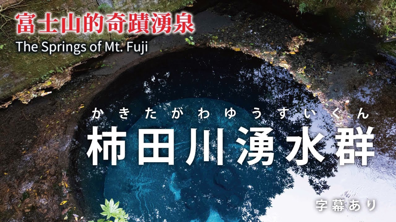 柿田川湧水群　柿田川公園