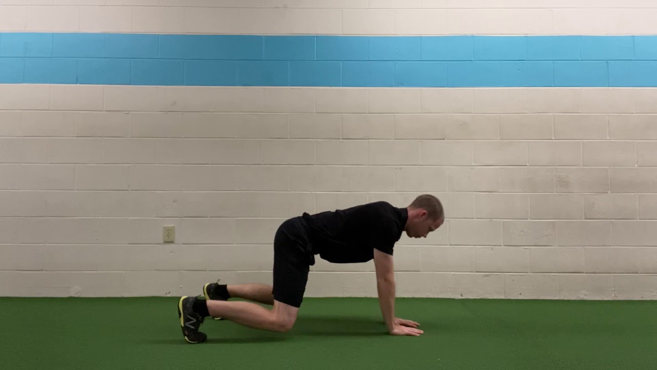 Savannah Personal Trainer-Alternating Bear Crawl Hold - YouTube