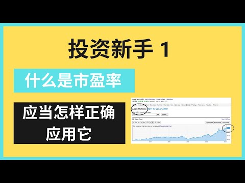 投资新手 1: 什么是市盈率, 如何正确使用它