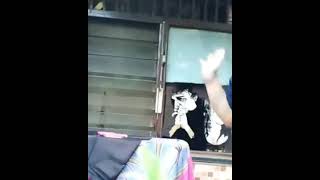 Viral  Lucu shorts short  viral  lucu hiburan suami takut istri