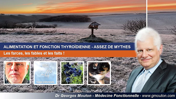 ALIMENTATION ET FONCTION THYRODIENNE - ASSEZ DE MY...