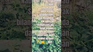 Sholawat Saadahsholawat Shortsholawat  Perbanyak Sholawat Nabi Muhammad Saw