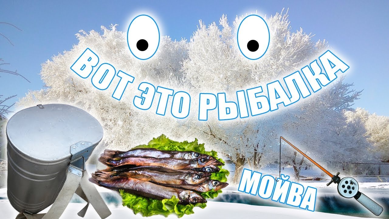 Рыбалка-Мойва...Готовим на природе на костре. #кухня - YouTube