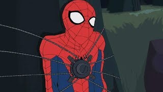 spider adventures cartoon