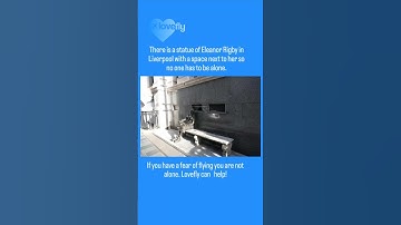 You are not alone! Fear of Flying Help from Lovefly #aviation #fearofflying #airturbulence #anxiety