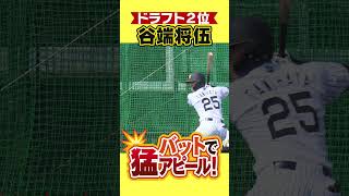 【ハッスル】立石には負けない!ドラ2谷端がバットで猛アピール! #阪神タイガース #hanshintigers #虎バンチャンネル #プロ野球キャンプ #プロ野球