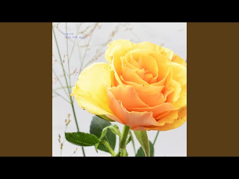 Guarda 사랑하는 이를 위한 마음을 담은 아름다운 힐링 명상음악 - 사랑이여 su YouTube