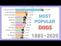 Most Popular Dog Breeds 1885~2020