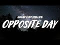 Miniature de la vidéo de la chanson Opposite Day