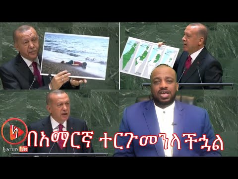 ቪዲዮ: በርማ የአውሮፓ ድመት-የዝርያዎቹ ገጽታዎች