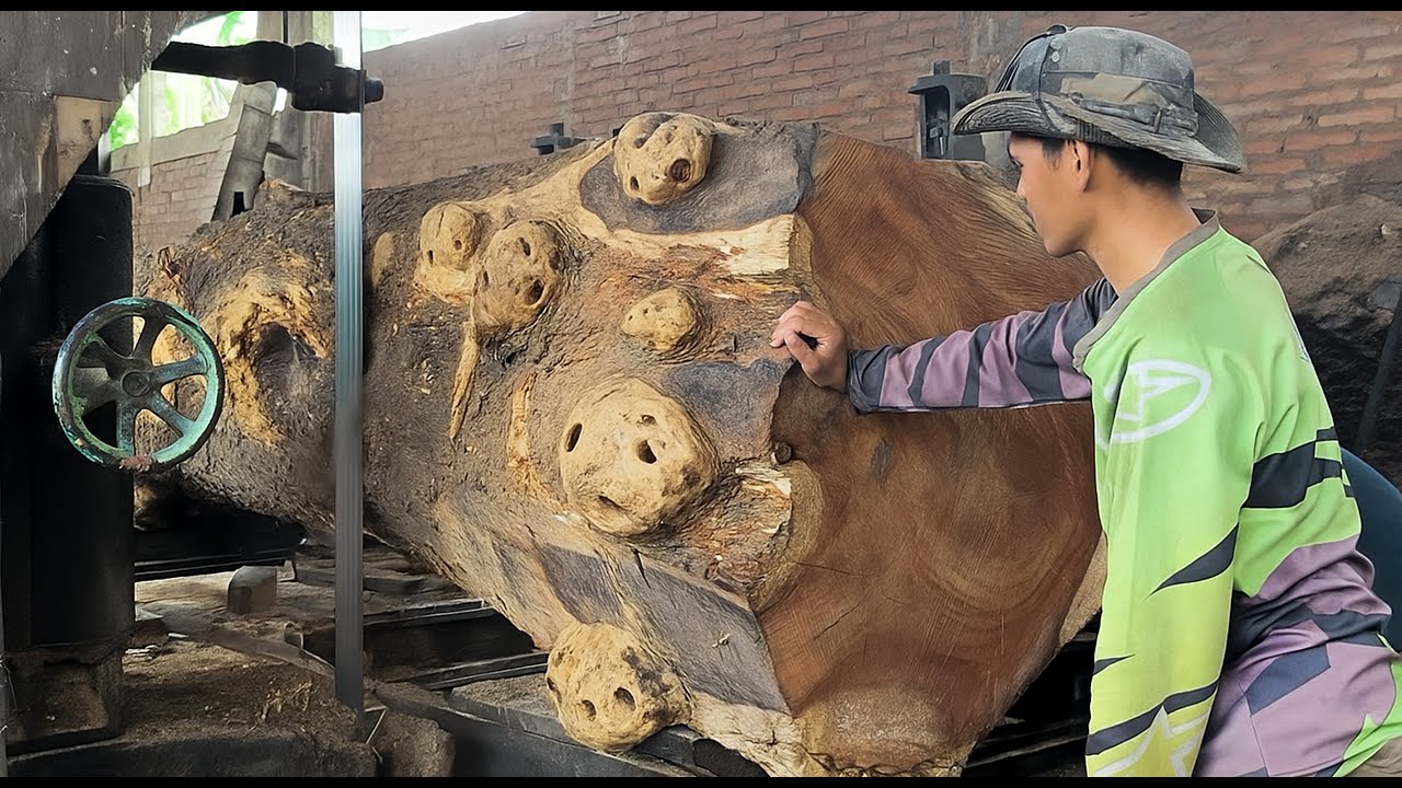 Sawmill Warning ‼️ The Challenge of Sawing Monster Trembesi Wood