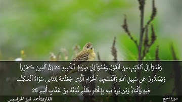 الصفحة 335 سورة الحج بصوت القارئ المهندس أحمد فايز الحراسيس