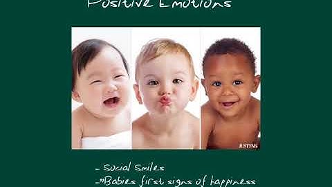 Primary Emotion CFD 560