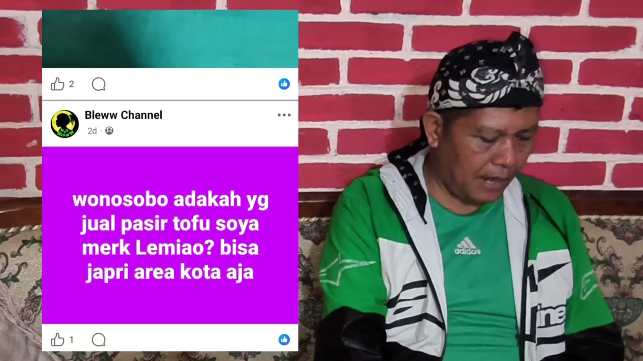 FREE ADOPSI GRUP ORANG ORANG PEDULI KUCING #cat #kucingliar #GRUPADOPSI