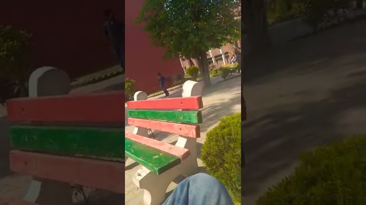 Government national college sirsa